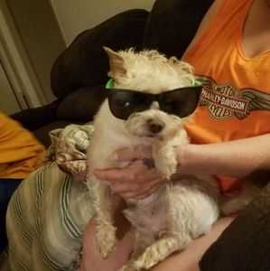 Meet your Posher, Larry